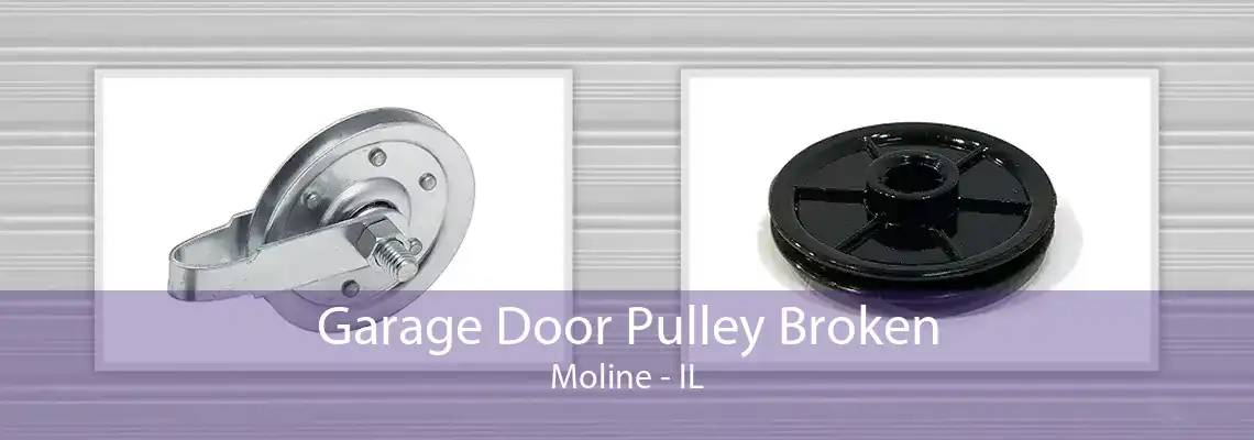 Garage Door Pulley Broken Moline - IL