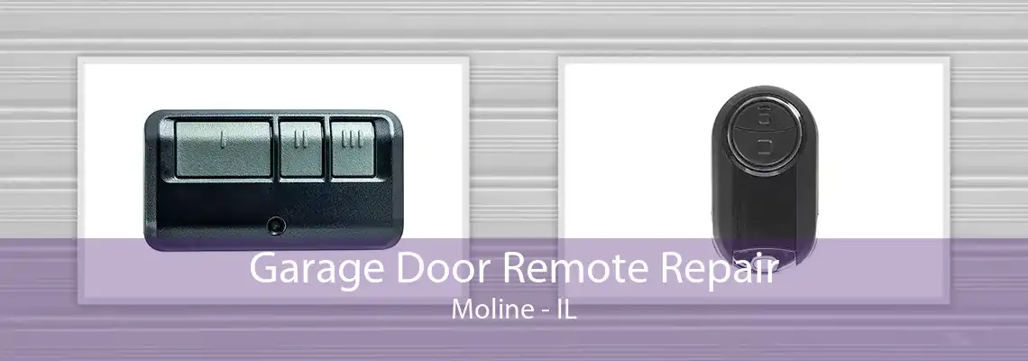 Garage Door Remote Repair Moline - IL