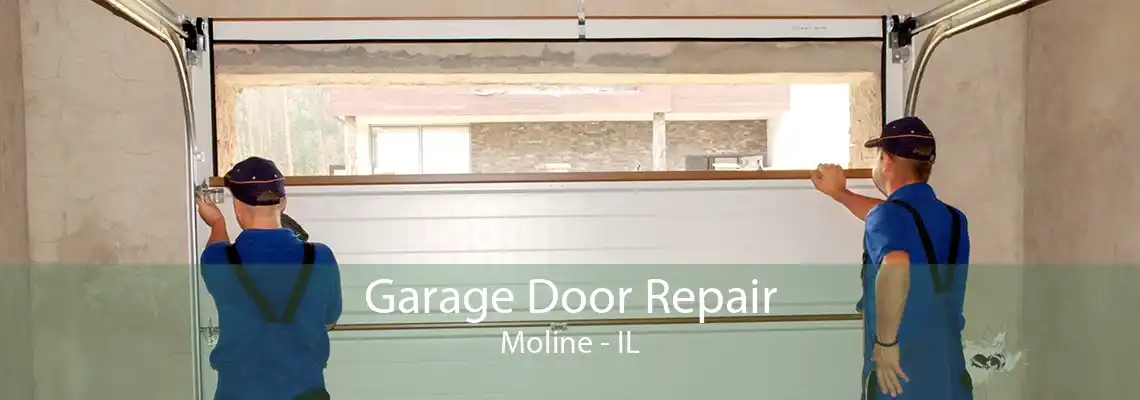 Garage Door Repair Moline - IL