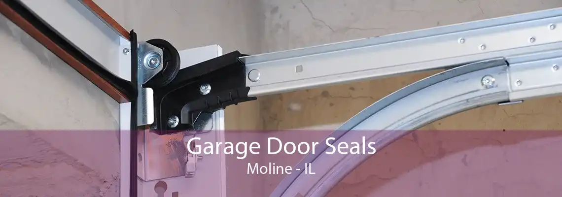 Garage Door Seals Moline - IL