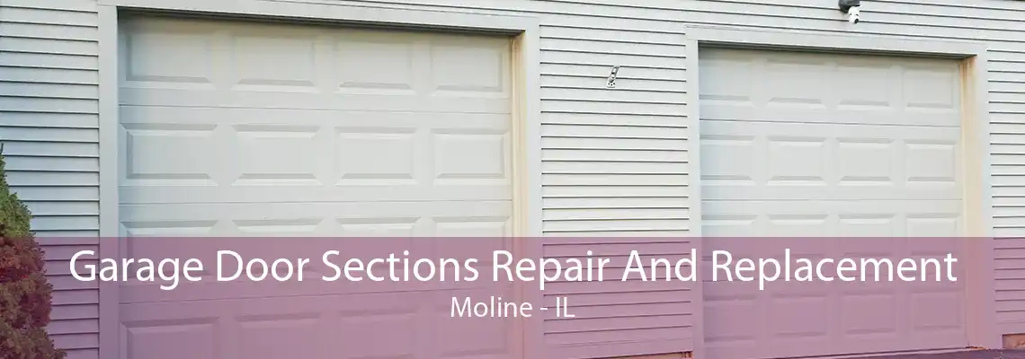 Garage Door Sections Repair And Replacement Moline - IL