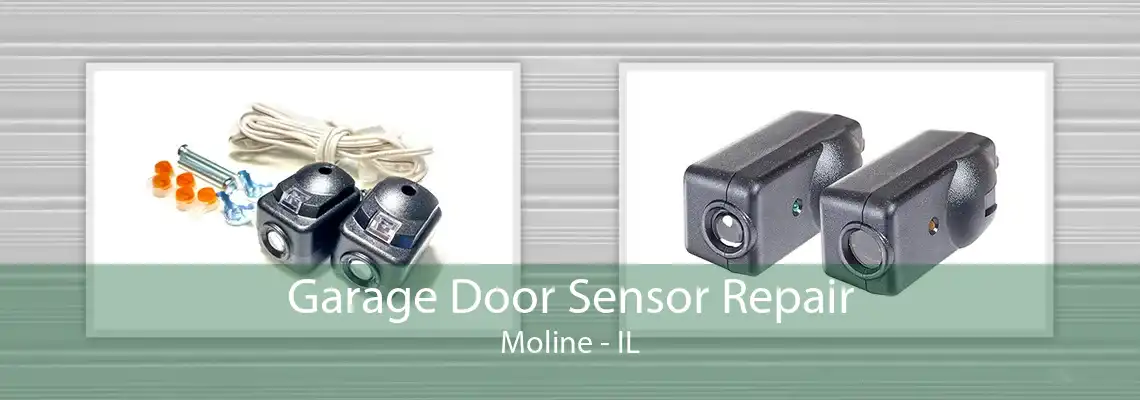 Garage Door Sensor Repair Moline - IL