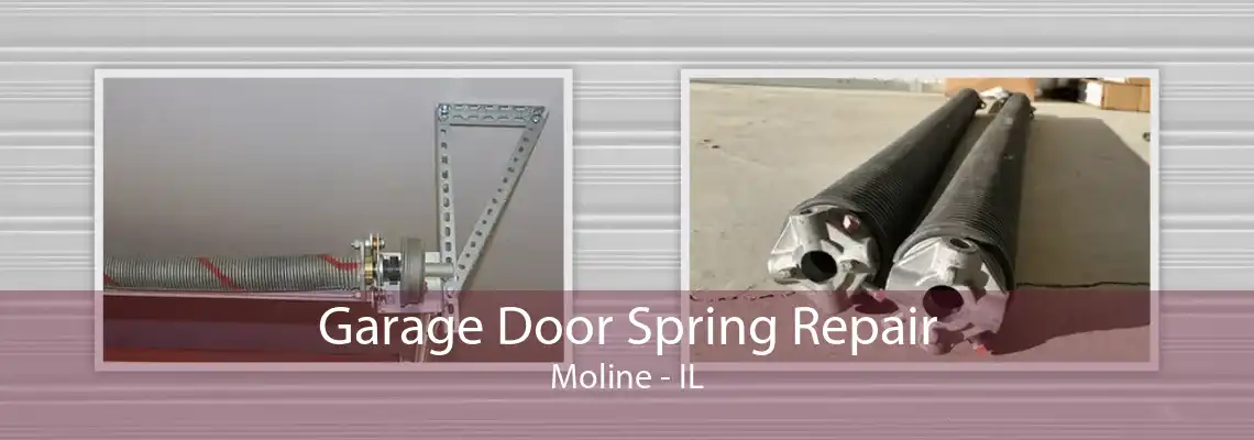 Garage Door Spring Repair Moline - IL