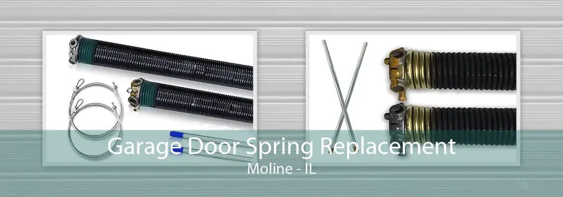 Garage Door Spring Replacement Moline - IL