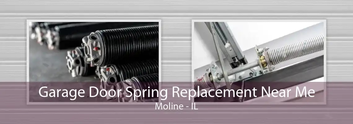 Garage Door Spring Replacement Near Me Moline - IL