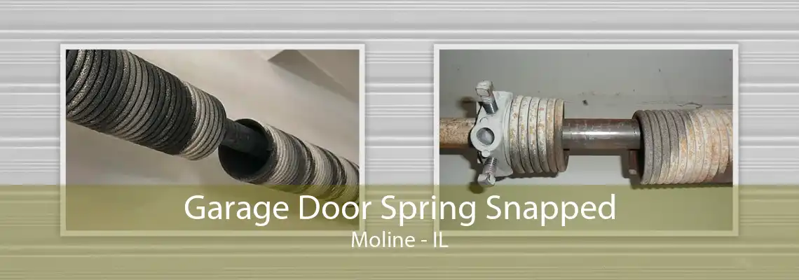 Garage Door Spring Snapped Moline - IL