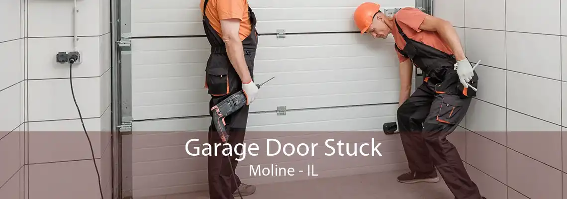 Garage Door Stuck Moline - IL