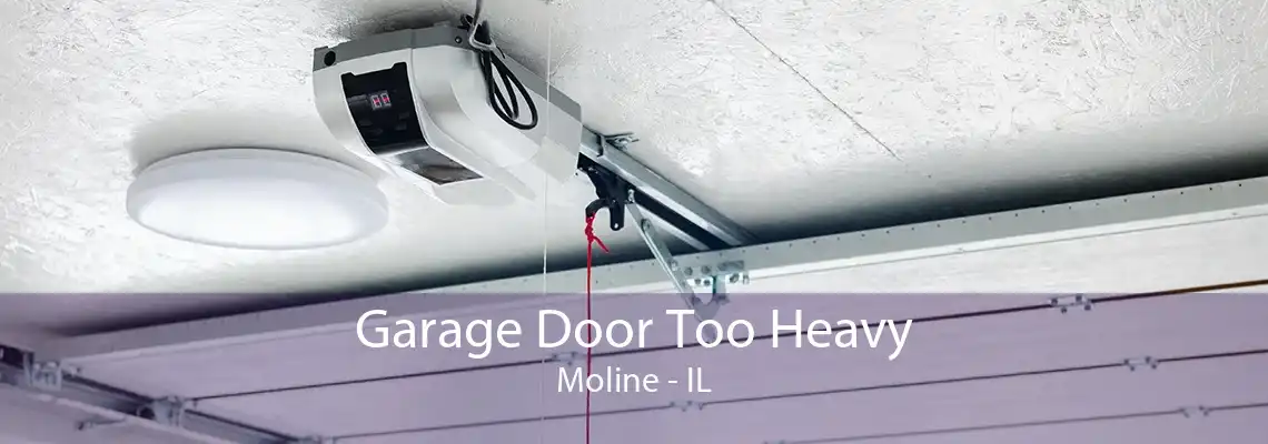 Garage Door Too Heavy Moline - IL