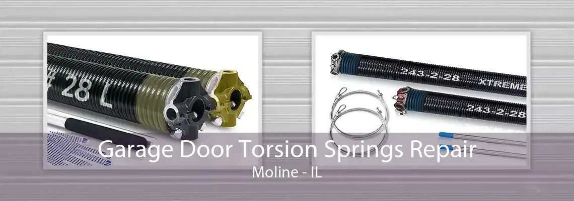 Garage Door Torsion Springs Repair Moline - IL