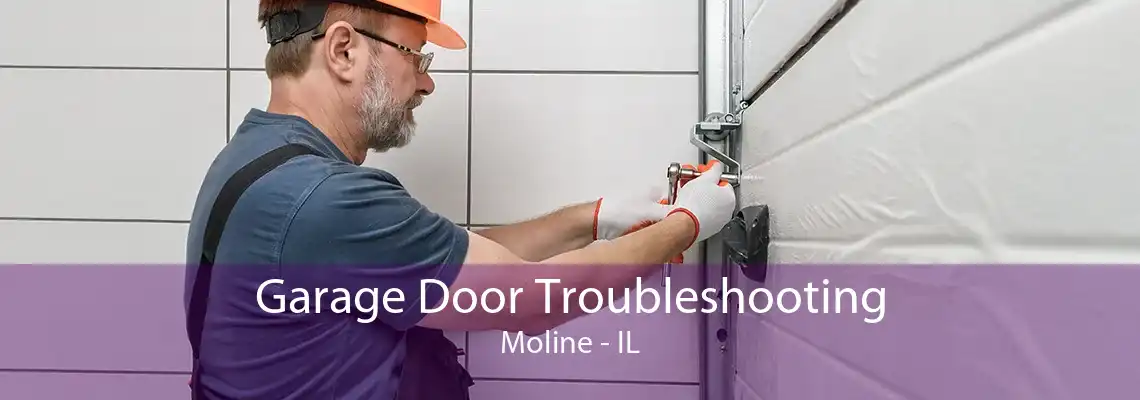 Garage Door Troubleshooting Moline - IL