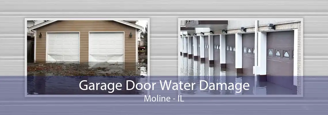 Garage Door Water Damage Moline - IL