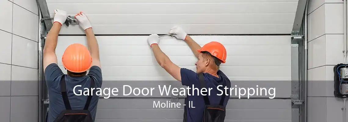 Garage Door Weather Stripping Moline - IL