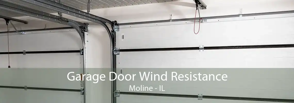 Garage Door Wind Resistance Moline - IL