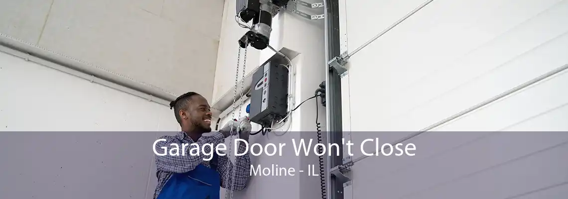 Garage Door Won't Close Moline - IL