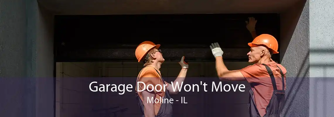 Garage Door Won't Move Moline - IL