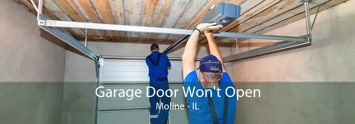 Garage Door Won't Open Moline - IL