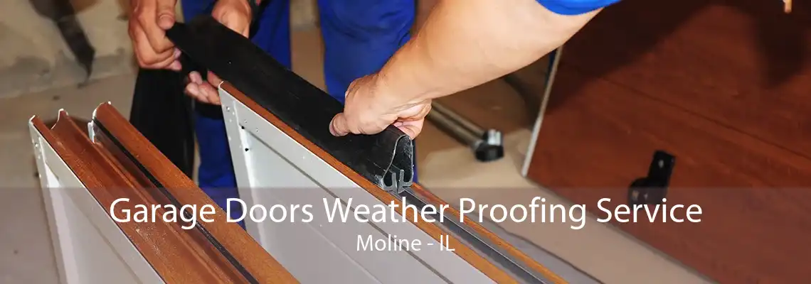 Garage Doors Weather Proofing Service Moline - IL