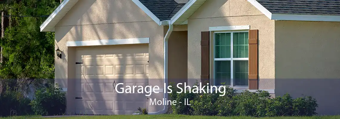 Garage Is Shaking Moline - IL