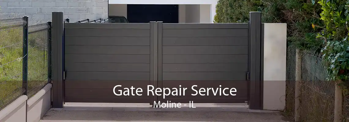 Gate Repair Service Moline - IL