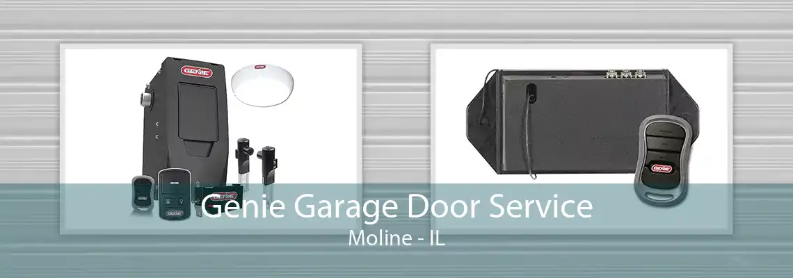 Genie Garage Door Service Moline - IL