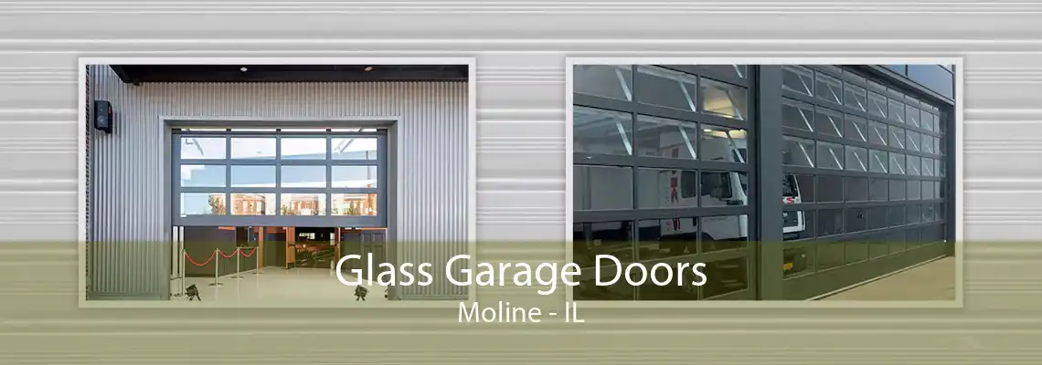 Glass Garage Doors Moline - IL