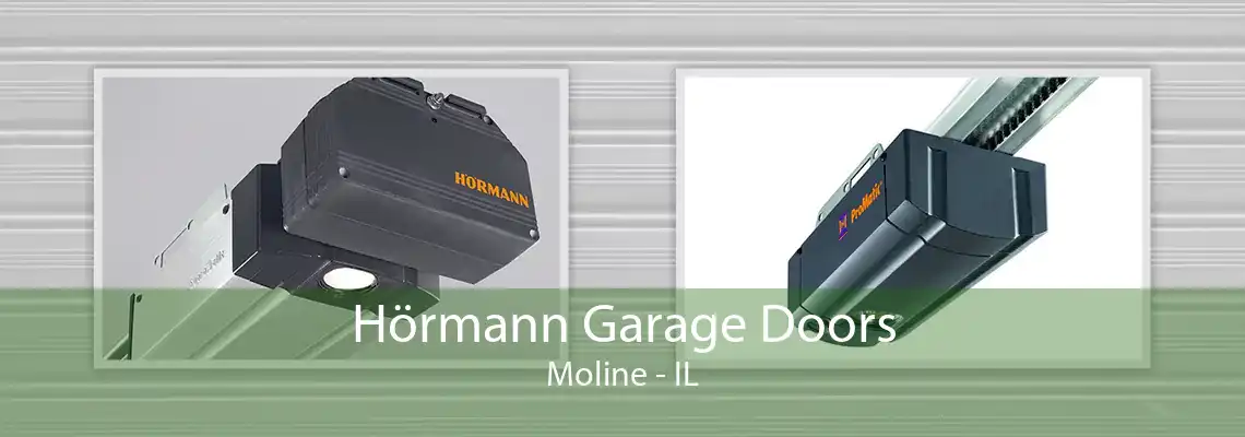 Hörmann Garage Doors Moline - IL