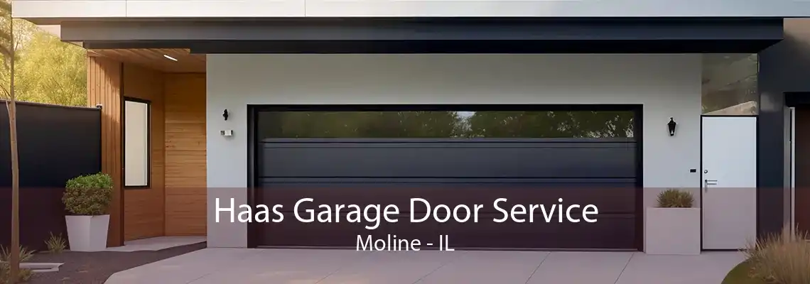 Haas Garage Door Service Moline - IL