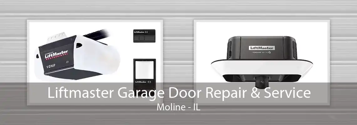 Liftmaster Garage Door Repair & Service Moline - IL