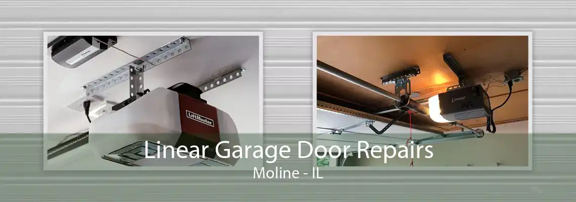 Linear Garage Door Repairs Moline - IL