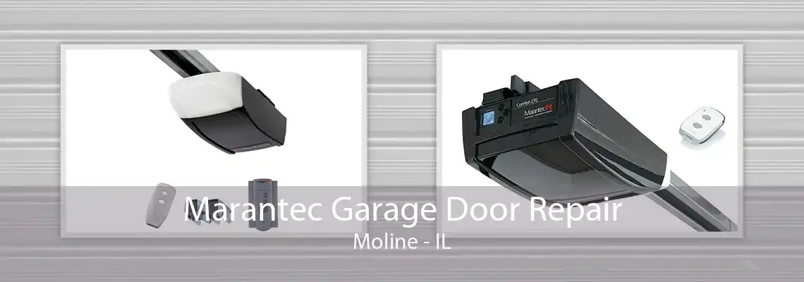 Marantec Garage Door Repair Moline - IL