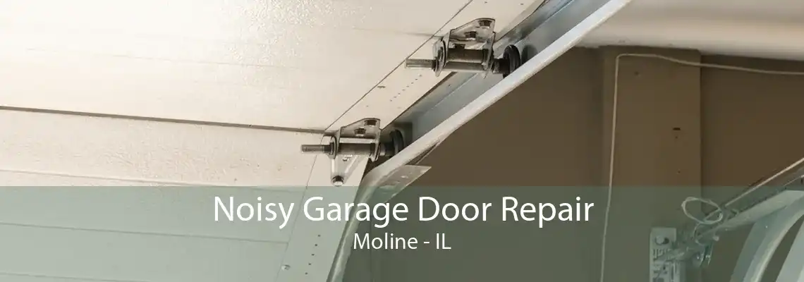 Noisy Garage Door Repair Moline - IL