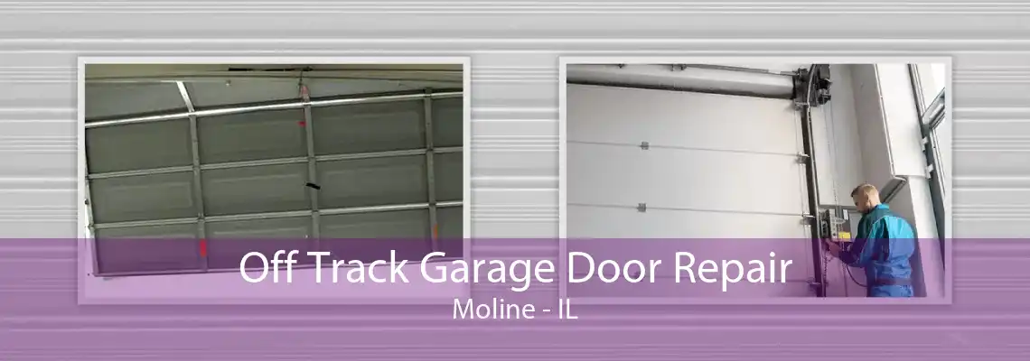 Off Track Garage Door Repair Moline - IL