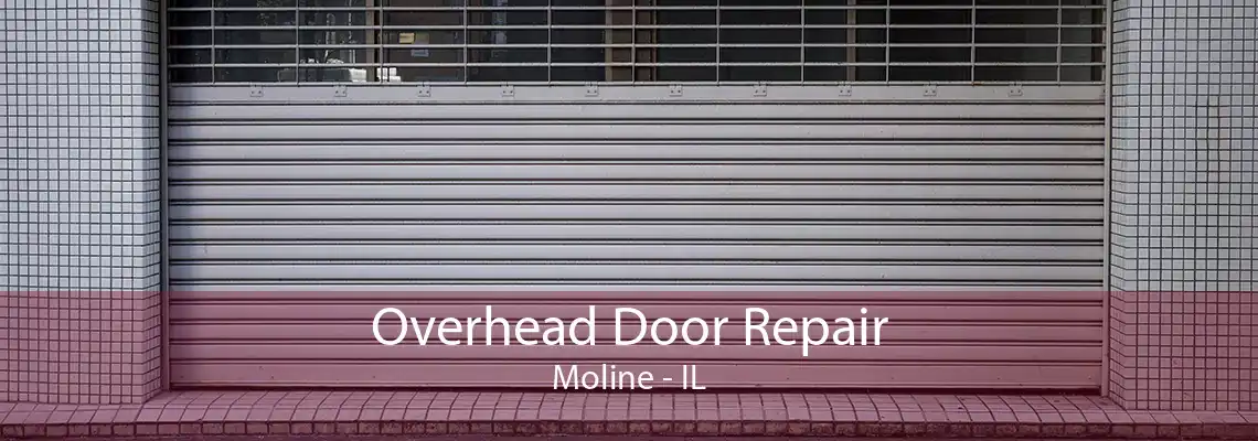 Overhead Door Repair Moline - IL