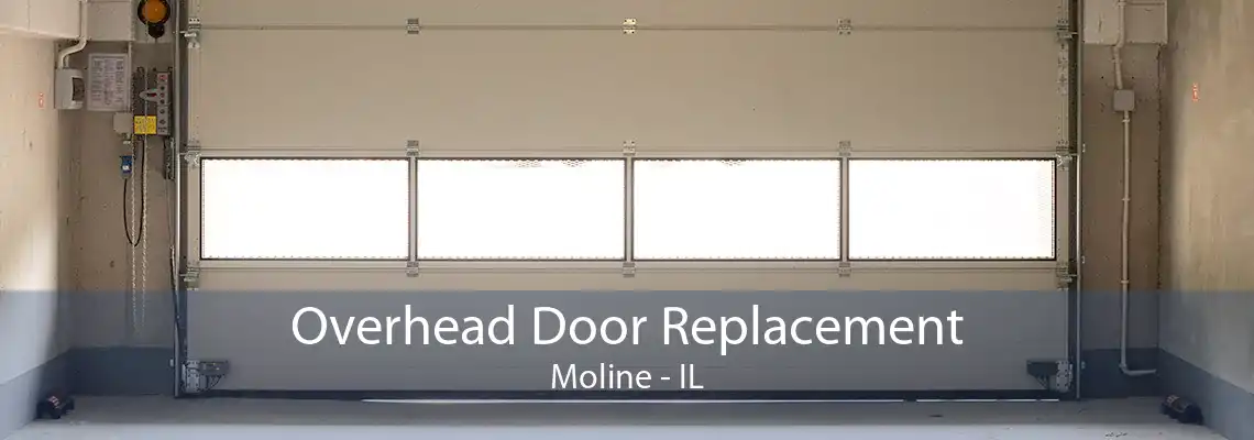 Overhead Door Replacement Moline - IL