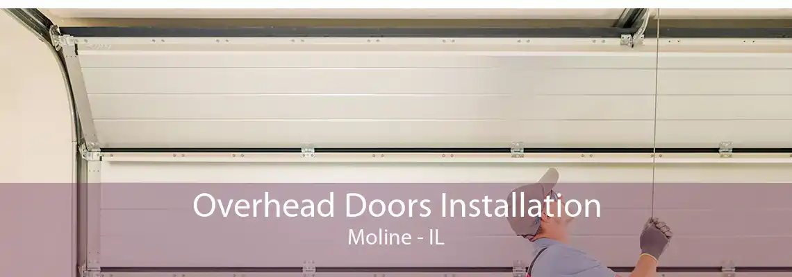 Overhead Doors Installation Moline - IL