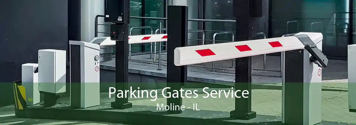 Parking Gates Service Moline - IL