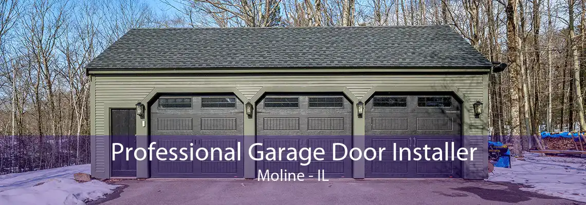 Professional Garage Door Installer Moline - IL