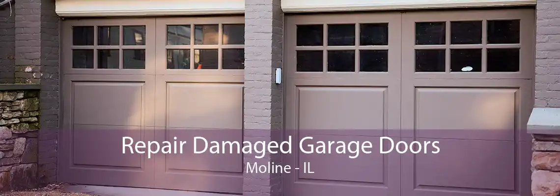 Repair Damaged Garage Doors Moline - IL