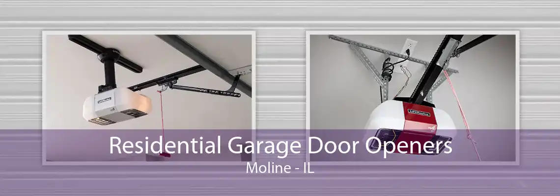 Residential Garage Door Openers Moline - IL