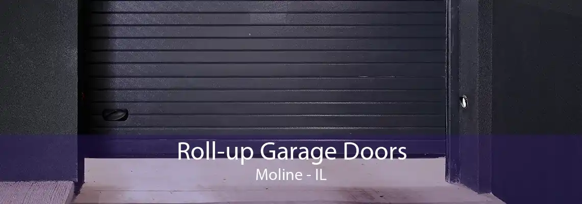 Roll-up Garage Doors Moline - IL