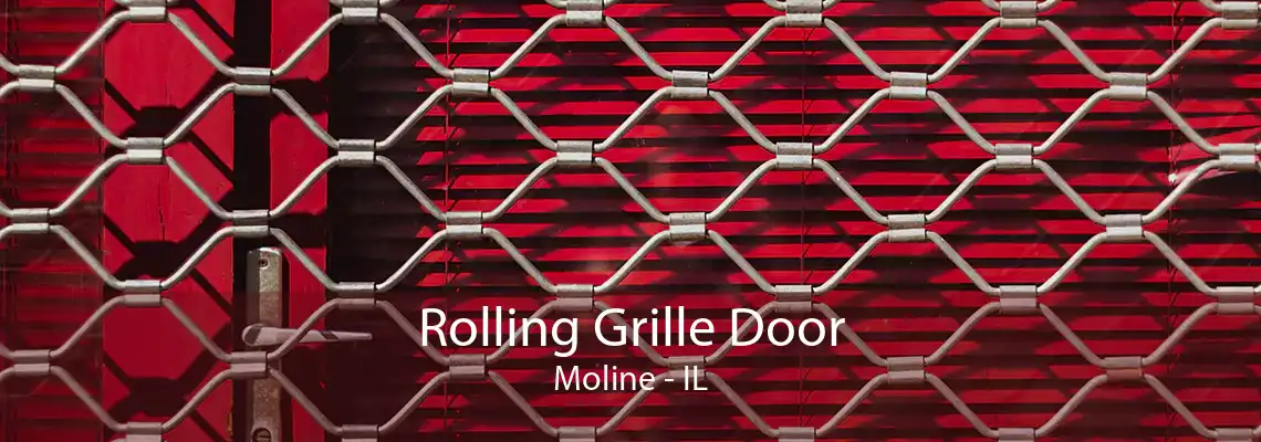 Rolling Grille Door Moline - IL