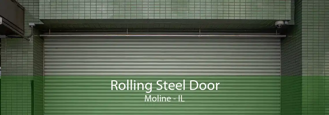 Rolling Steel Door Moline - IL