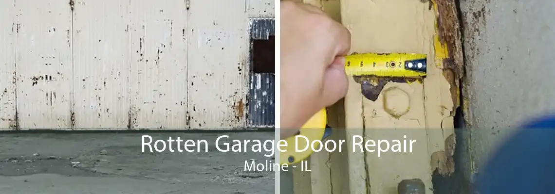 Rotten Garage Door Repair Moline - IL