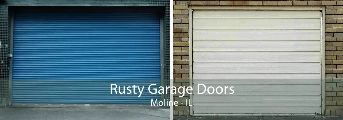 Rusty Garage Doors Moline - IL