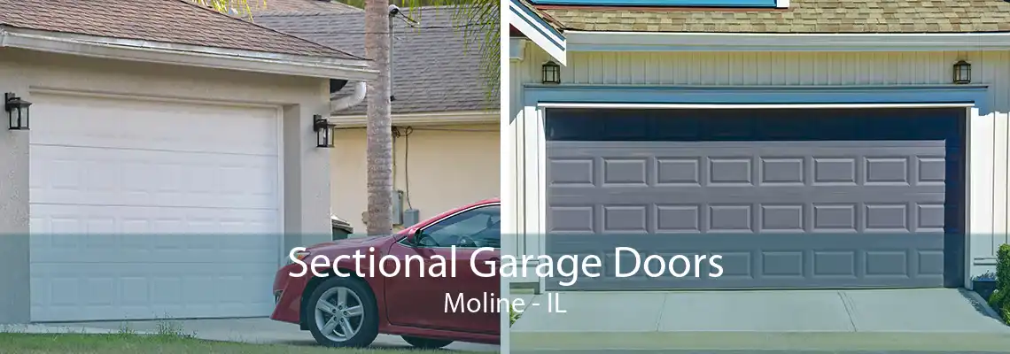 Sectional Garage Doors Moline - IL