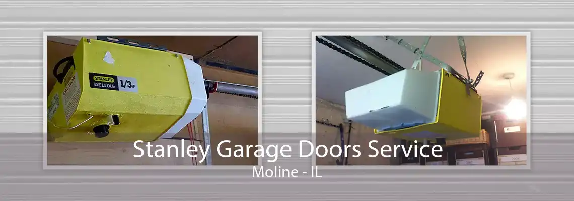 Stanley Garage Doors Service Moline - IL