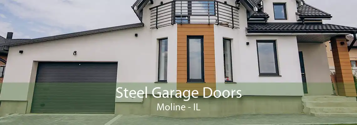 Steel Garage Doors Moline - IL