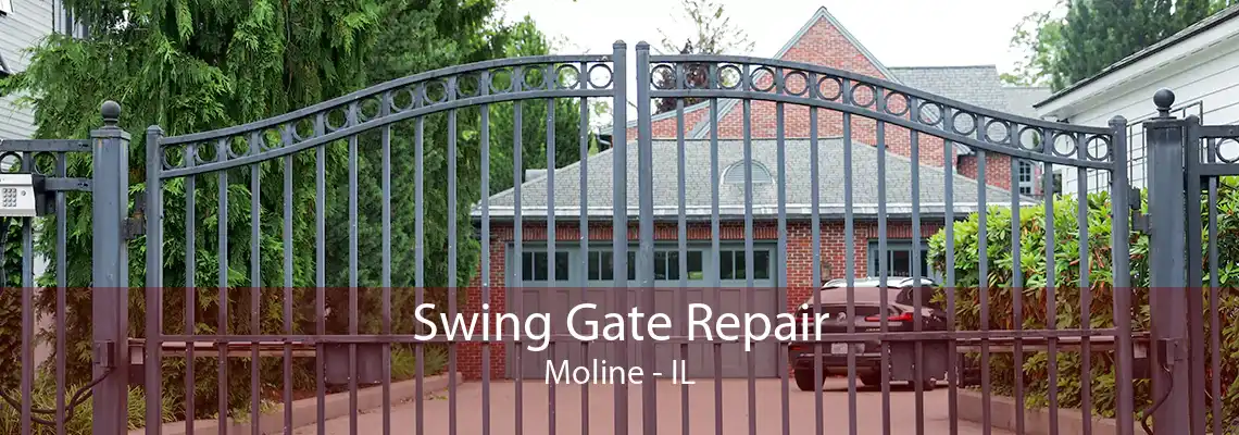 Swing Gate Repair Moline - IL